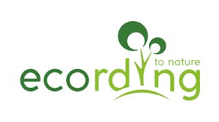ecording Logo