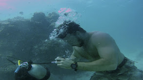 Castaways thumbnail