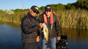 Rock N Roll Fisherman thumbnail