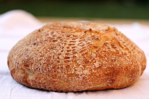 Country boule with spelt and sourdough