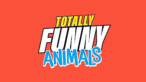 Totally Funny Animals thumbnail