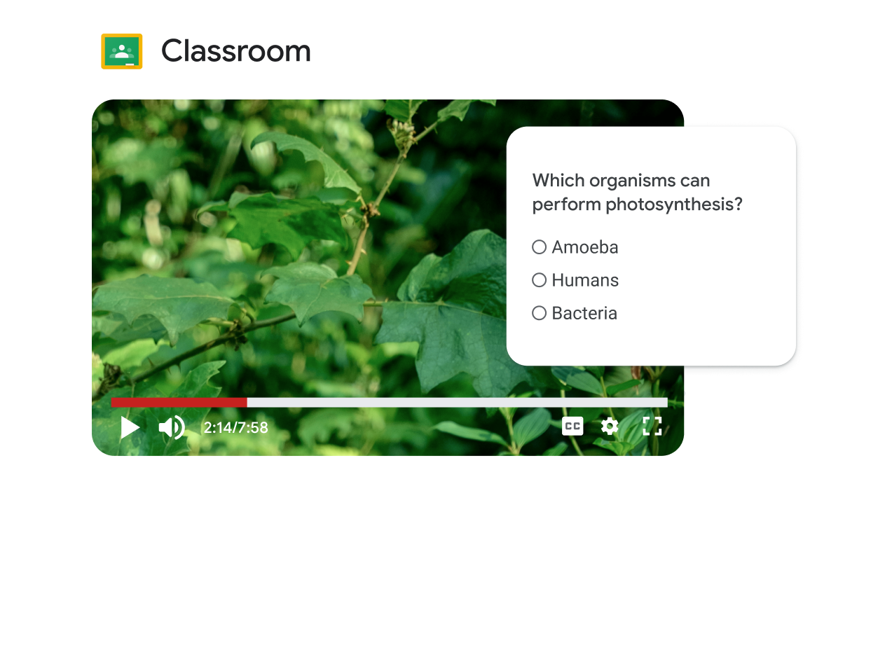 A light green square module for Google Classroom with an image of lush foliage.