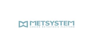 Metsystem Logo